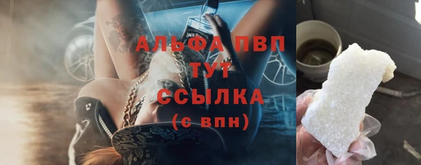 твердый Магас