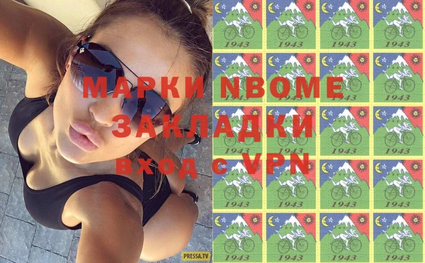 твердый Магас