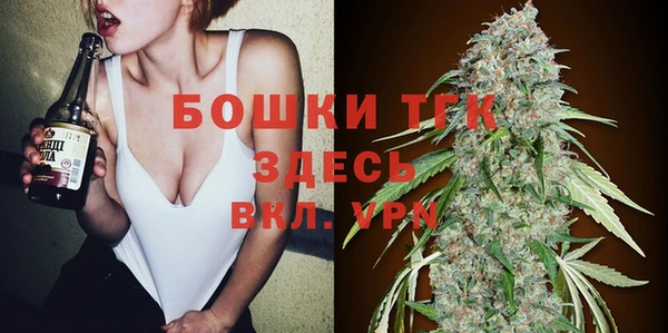 твердый Магас
