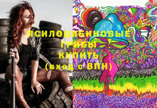 твердый Магас