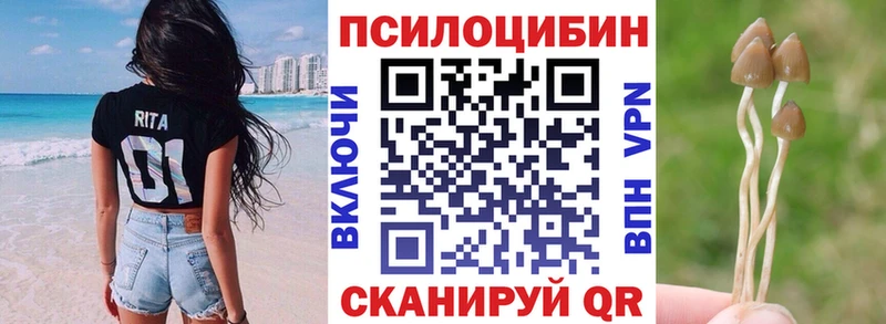 Псилоцибиновые грибы Magic Shrooms  mega вход  Цимлянск 
